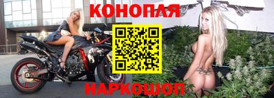 сатива Краснодар