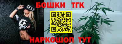 сатива Краснодар