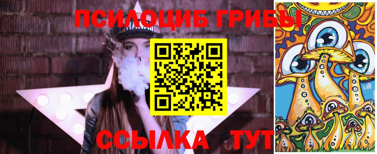 Ефремов  Псилоцибиновые грибы GOLDEN TEACHER  Вход с VPN 